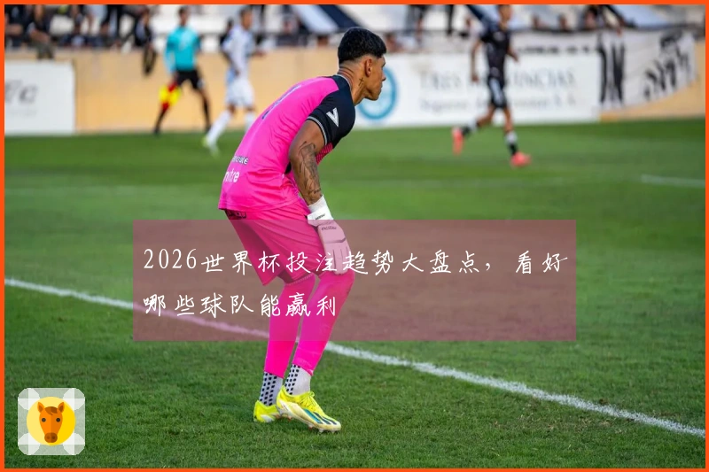 2026世界杯投注趋势大盘点，看好哪些球队能赢利