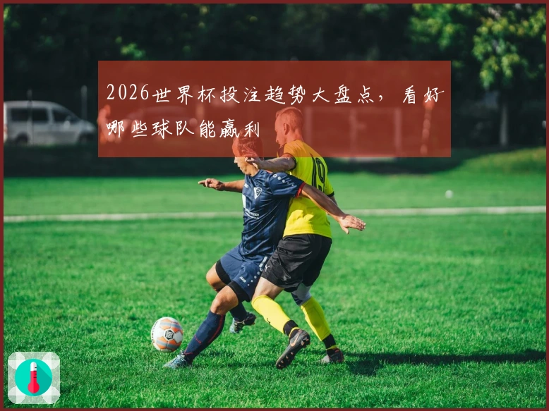 2026世界杯投注趋势大盘点，看好哪些球队能赢利