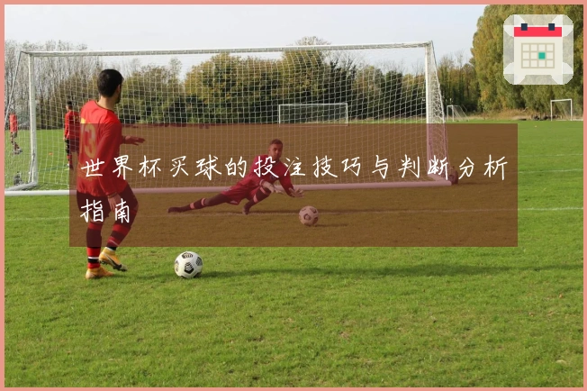 世界杯买球的投注技巧与判断分析指南