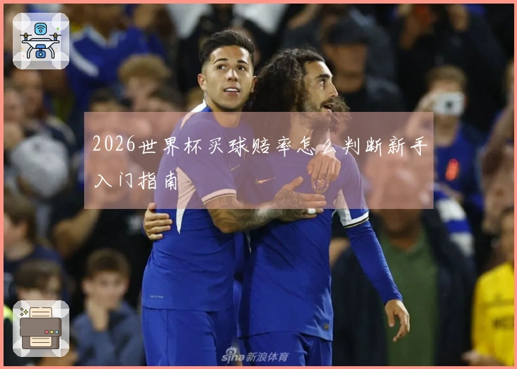 2026世界杯买球赔率怎么判断新手入门指南