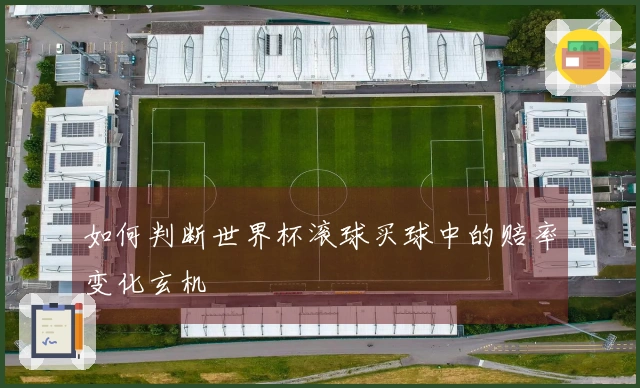 如何判断世界杯滚球买球中的赔率变化玄机