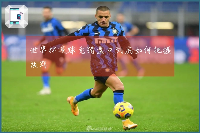 世界杯滚球竞猜盘口到底如何把握诀窍