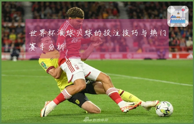 世界杯滚球买球的投注技巧与热门赛季分析