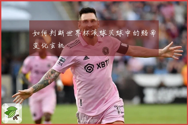 如何判断世界杯滚球买球中的赔率变化玄机