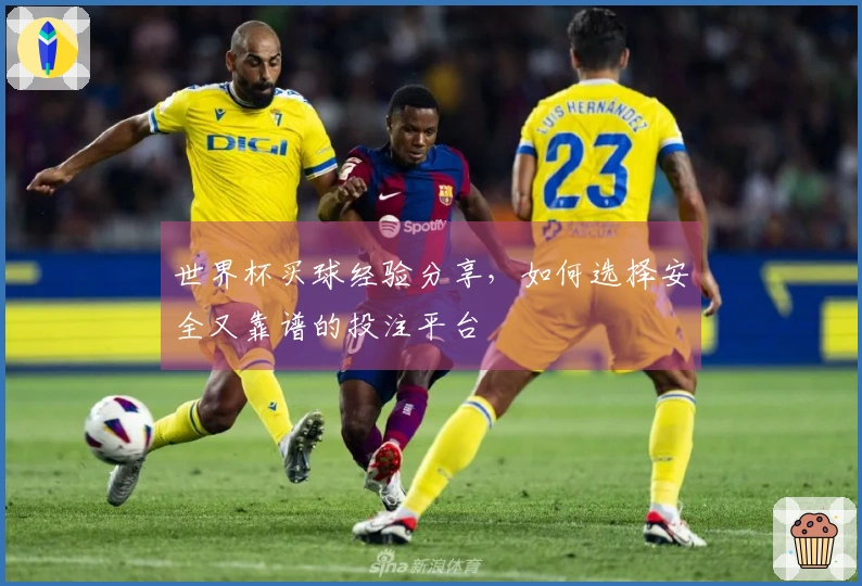 世界杯买球经验分享，如何选择安全又靠谱的投注平台